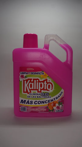 KALIPTO FLORES DEL CAMPO 4L